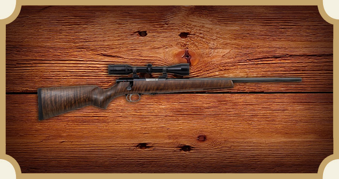 Firearms
